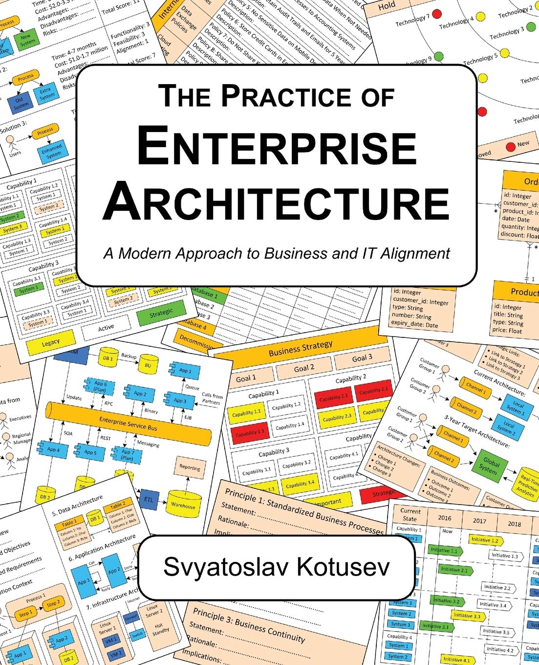 The Practice of Enterprise Architecture: A Modern Approach to Business and IT Alignment cover
