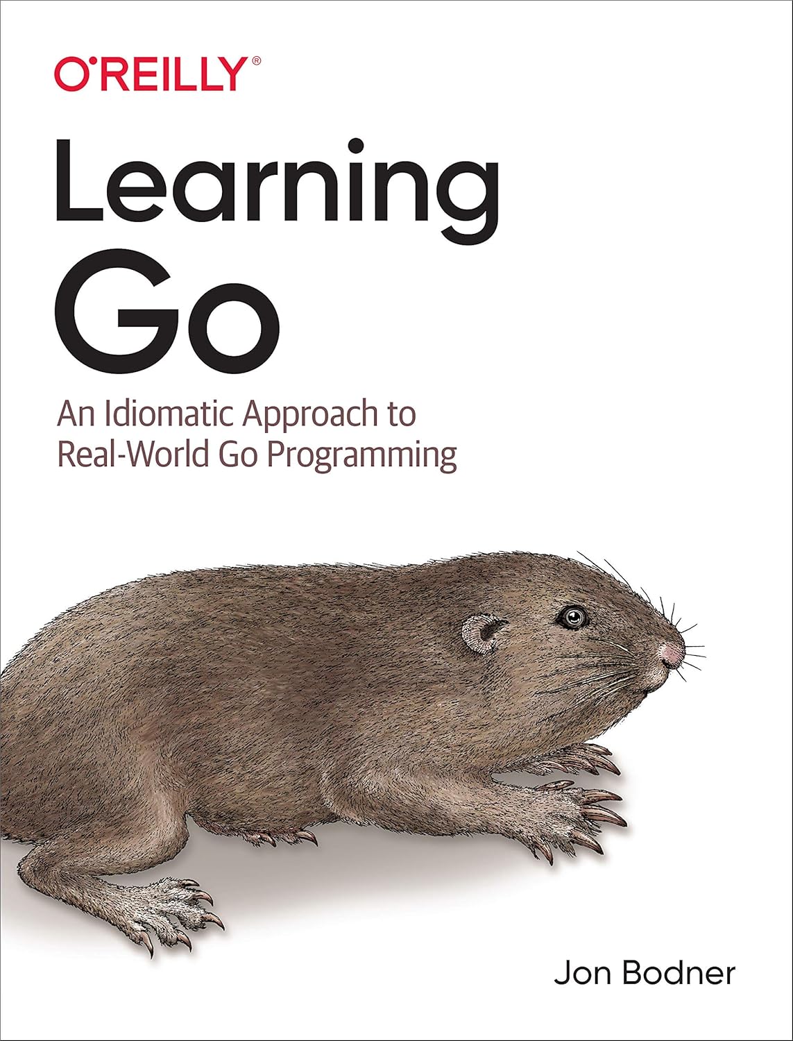 Learning Go: An Idiomatic Approach to Real-World Go Programming cover