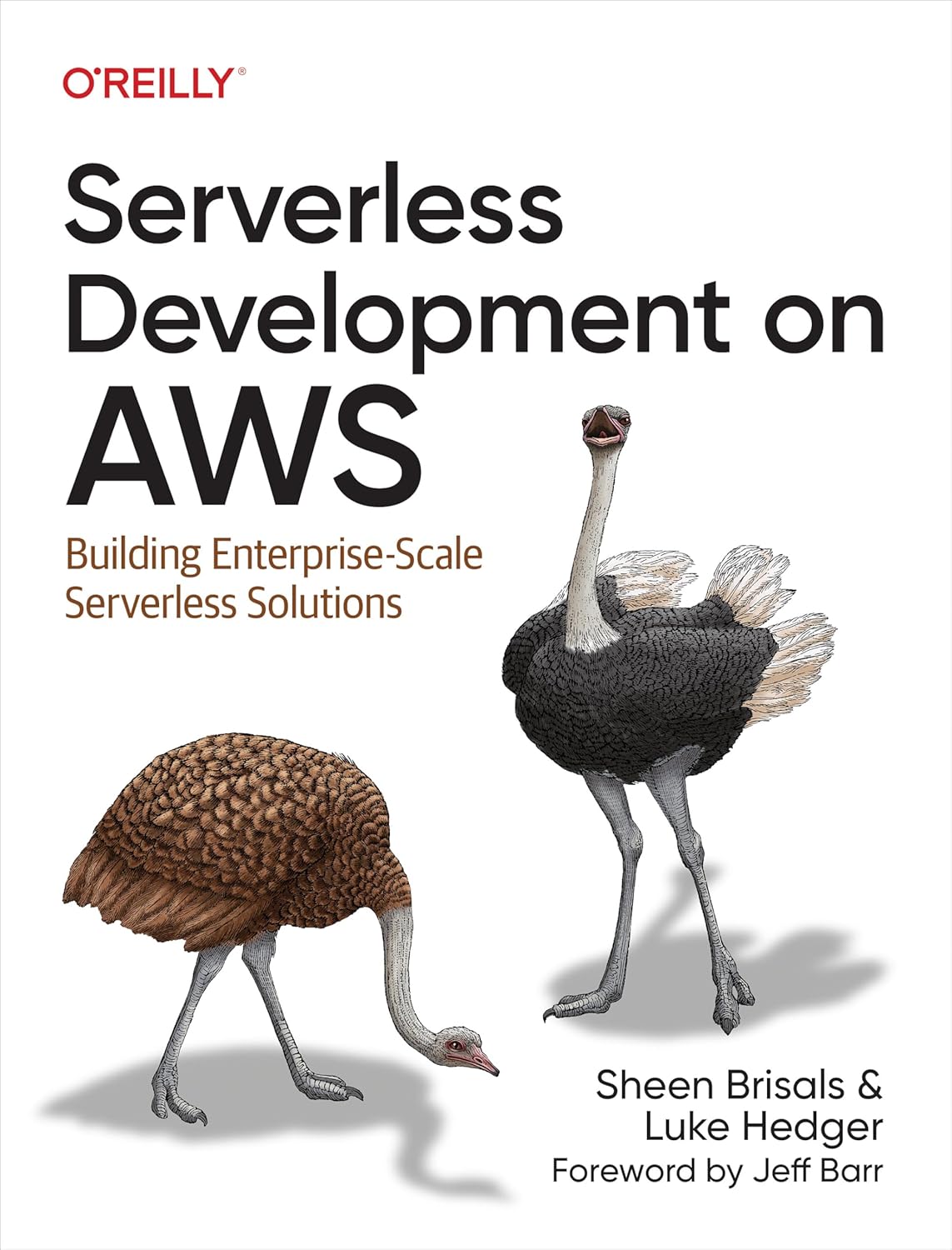 Serverless Development on AWS: Building Enterprise-Scale Serverless Solutions cover